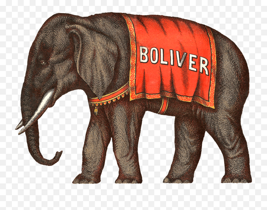 Circus Elephant Victorian Transparent - Concept Big And Small Png,Elephant Transparent