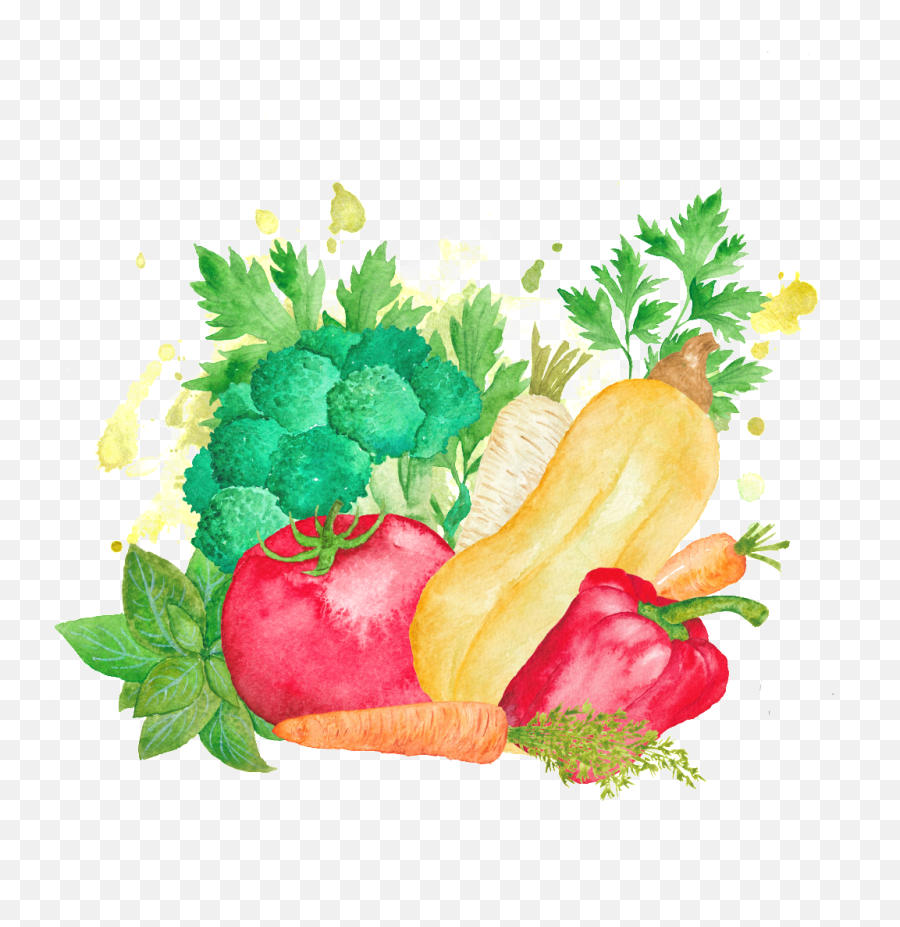 Download Colorful Hand Drawn Cartoon - Cartoon Vegetable In Png,Vegetables Transparent