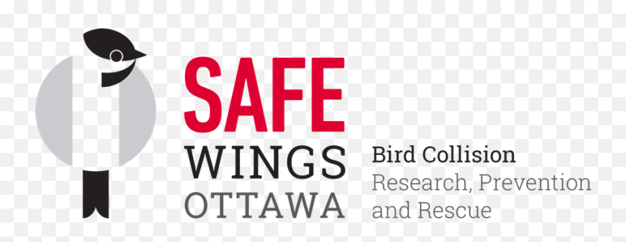 Save An Injured Bird U2013 Safe Wings Ottawa - Safe Wings Ottawa Logo Png,Bird Car Logo
