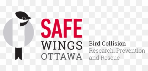 Save An Injured Bird U2013 Safe Wings Ottawa - Logo png