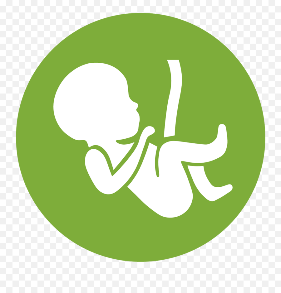 Obs - Obstetrics And Gynaecology Icon Png,Obs Logo Png