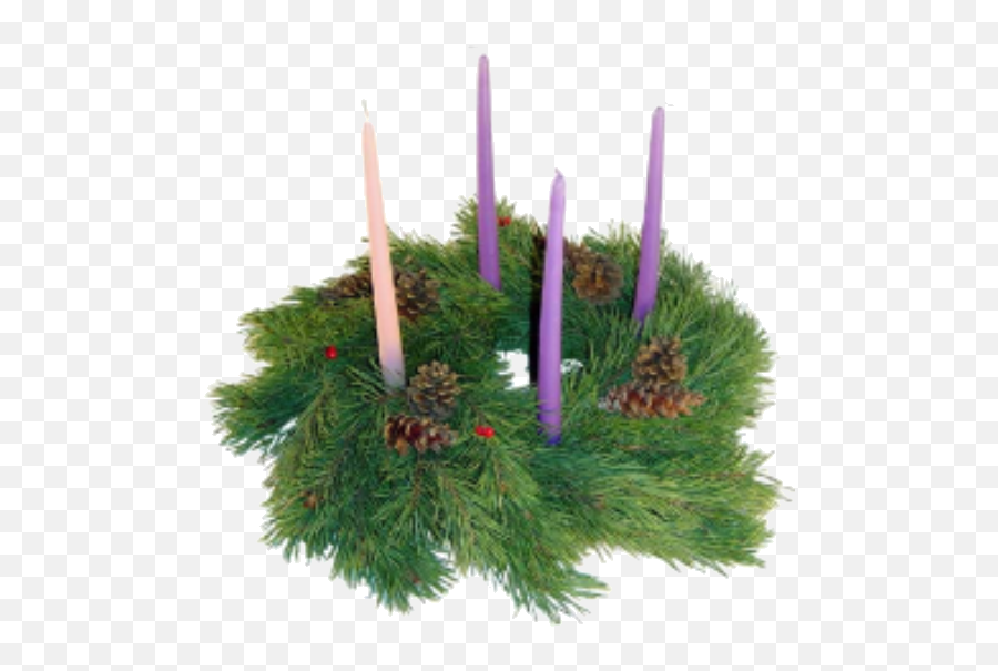 Advent Wreath - Facts About Advent Wreath Png,Advent Wreath Png