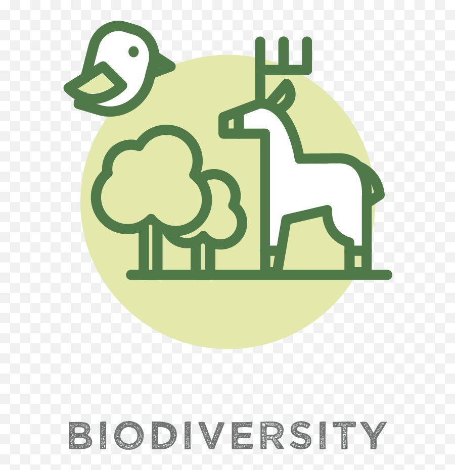 Plant Trees For Biodiversity - Nyu Clipart Full Size G8 Hokkaido Toyako Summit Memorial Museum Png,Nyu Logo Png