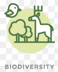 Plant Trees For Biodiversity - Nyu Clipart Full Size G8 Hokkaido Toyako Summit Memorial Museum png