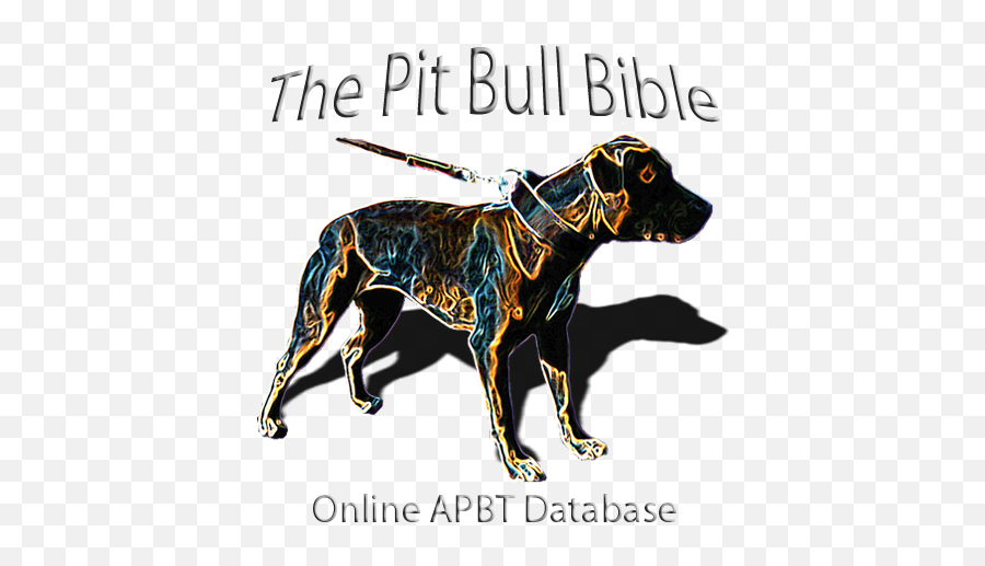 The Pit Bull Bible Online Apbt Database - Pitbull Bible Png,Pit Bull Logo