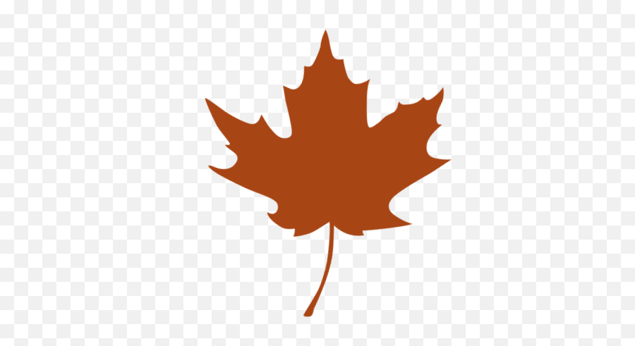 Maple Syrup - Sugar Maple Png,Syrup Icon