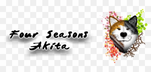 Home - Four Seasons Akita Face Painting png