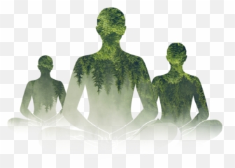 Heartfulness Sunday Meditation - International Yoga Day 2019 Png,Meditate Icon