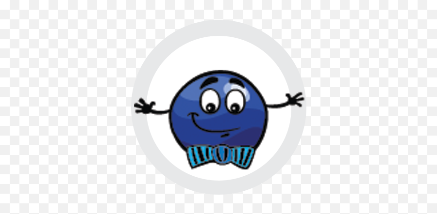 Gourmet Michigan Blueberry Products And Fresh Frozen - Blueberries Cartoon Png,Blueberries Icon