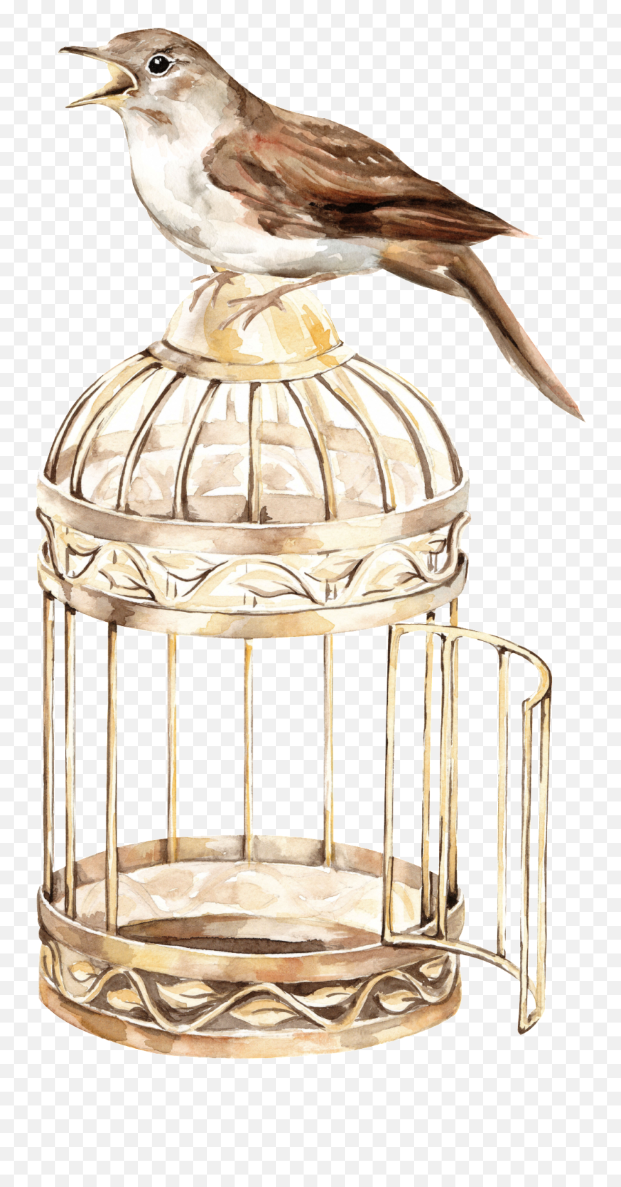 Download Bird Cage Transparent Background Png - Full Size Transparent Background Bird Cage Png,Cage Png