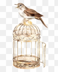 Download Bird Cage Transparent Background Png - Full Size