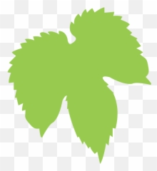 Syracuse Brewery Willow Rock - Vertical Png,Green Beer Icon