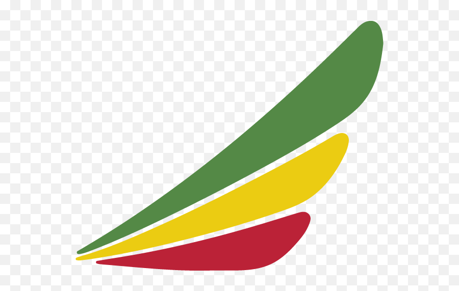 About Us - Official Bole Airport Addis Ababa Bole Vector Ethiopian Airlines Logo Png,Ethiopia Icon