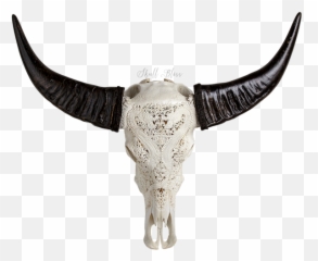 Animal Skulls Horn Bone Head - Transparent Png