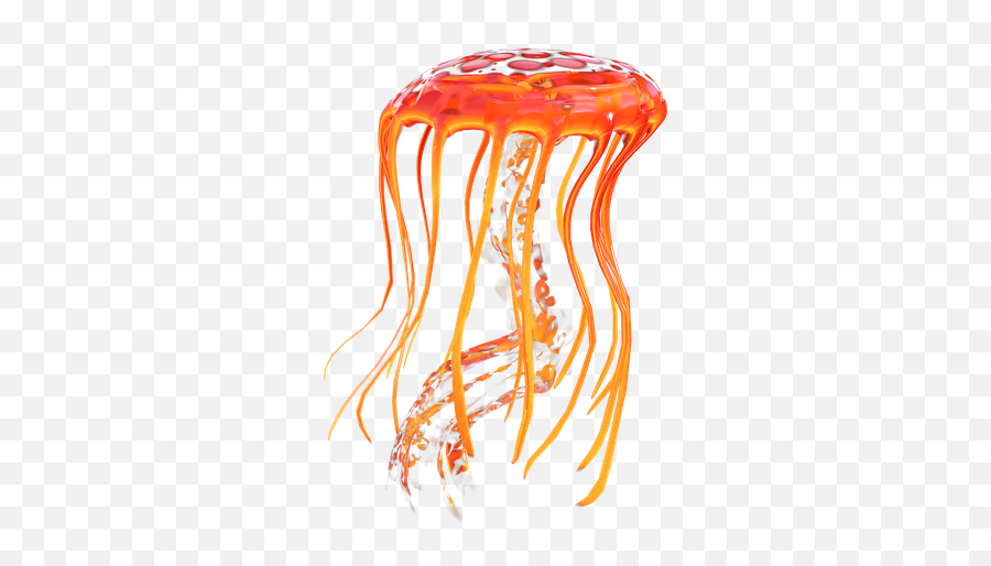 Jellyfish Png Transparent Images All - Jerry Fish Stung Transparent Background,Jellyfish Icon