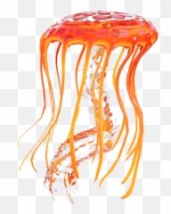 Jellyfish Png Transparent Images All - Jerry Fish Stung Background