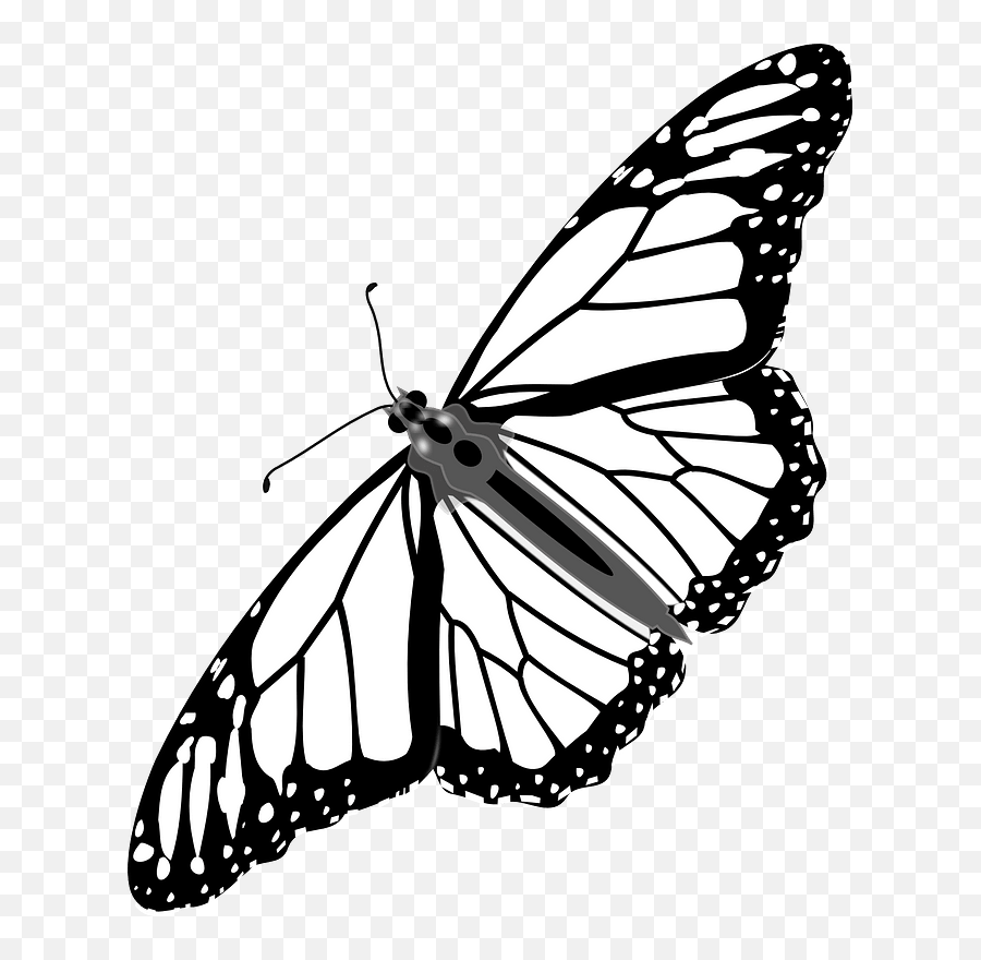 Cartoon Monarch Butterfly 25 Buy Clip Art - Monarch Transparent Transparent  Background Butterfly Clipart Png,Butterfly Tattoo Png - free transparent  png images 