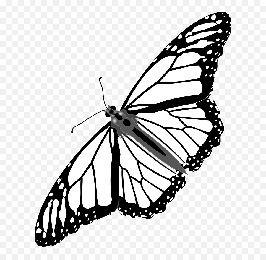 Butterfly Clipart Black And White Transparent Background / Butterfly