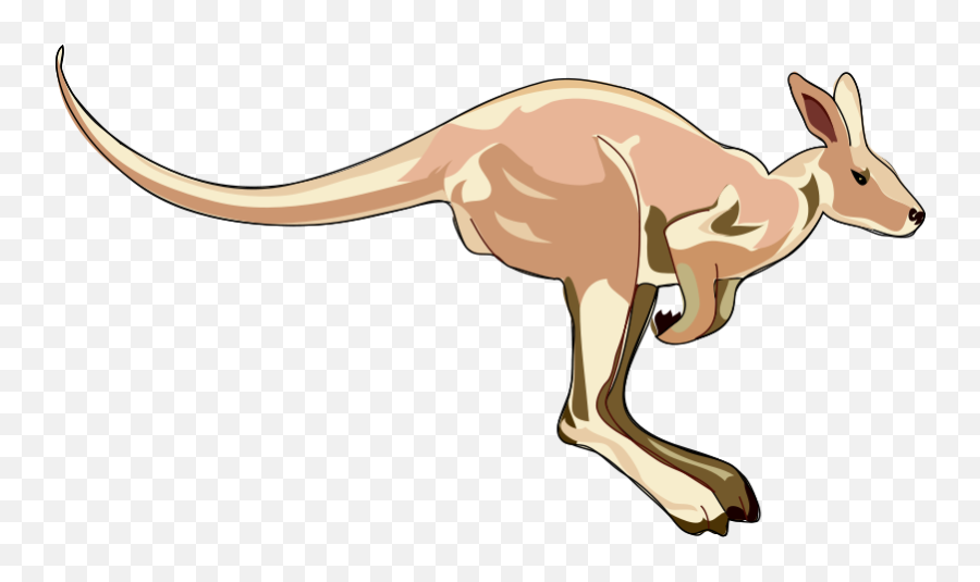 Kangaroo Clipart Png - Jpg Library Library Clip Art Royalty Kangaroo Clip Art,Kangaroo Transparent Background
