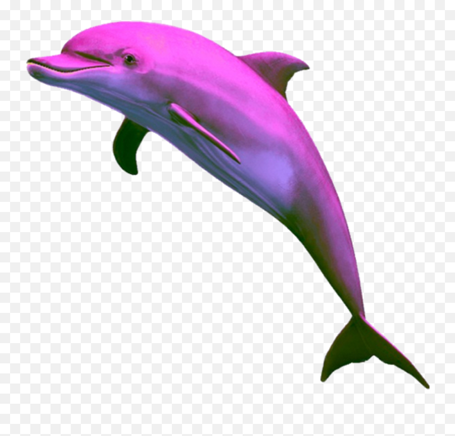 Aesthetic Dolphin Png Clipart - Pink Vaporwave Dolphin,Dolphins Png