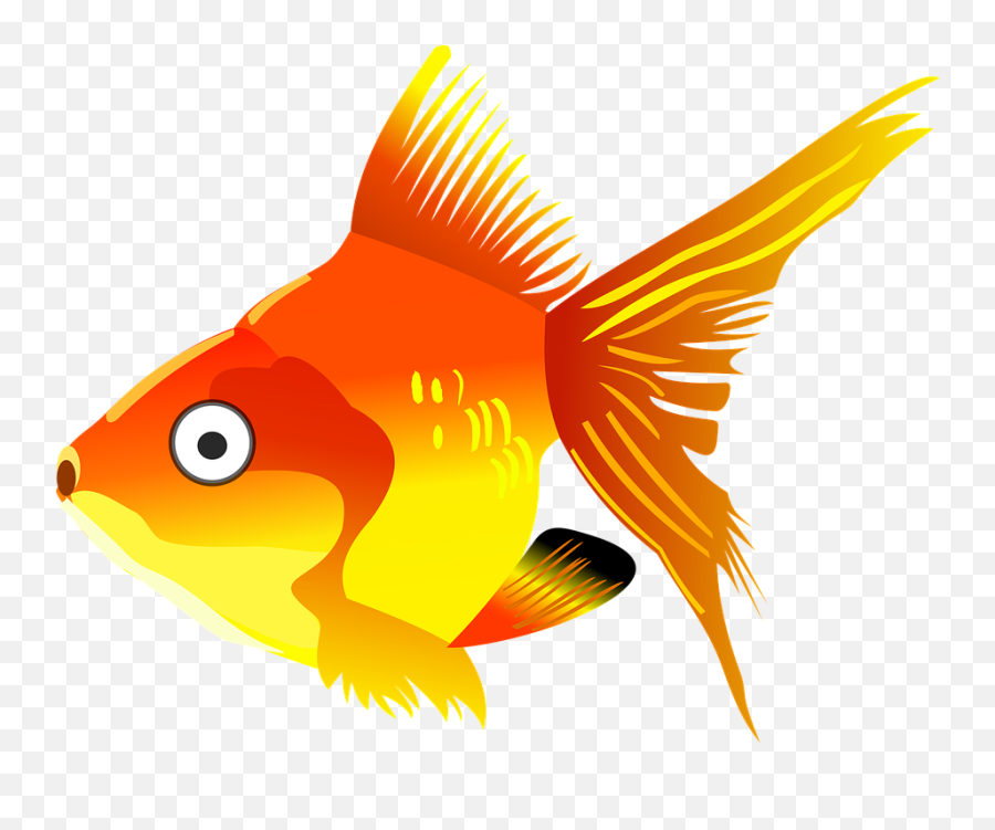 Cartoon Fish Goldfish - Free Vector Graphic On Pixabay Transparent Background Goldfish Clipart Png,Cartoon Fish Png