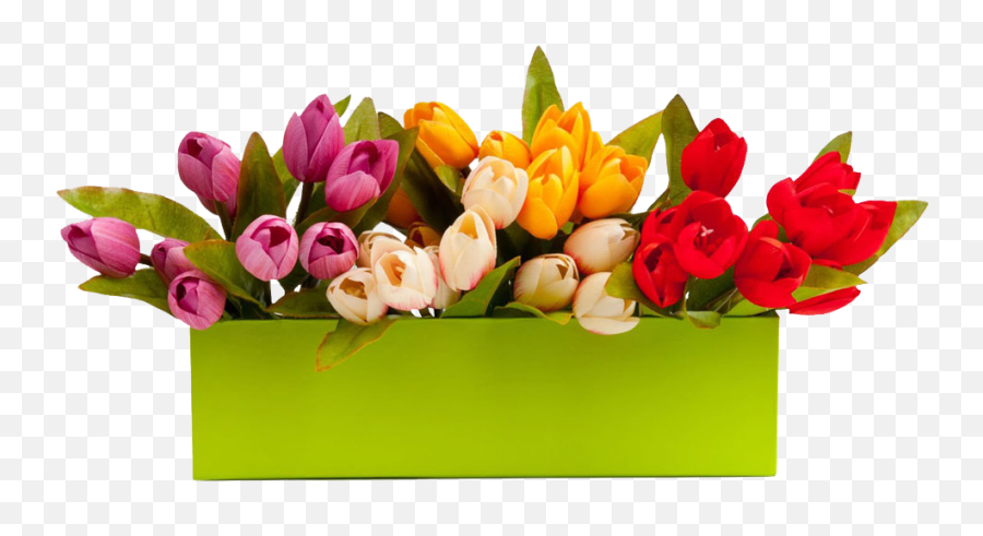 Responsive Web - Basic Code Horizontal Png,Tulips Png