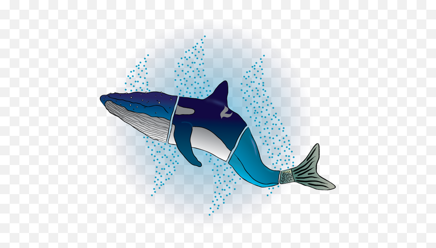 Making Of The New Logo For Buddyup Discord Group And Trying - Great White Shark Png,Discord Logos