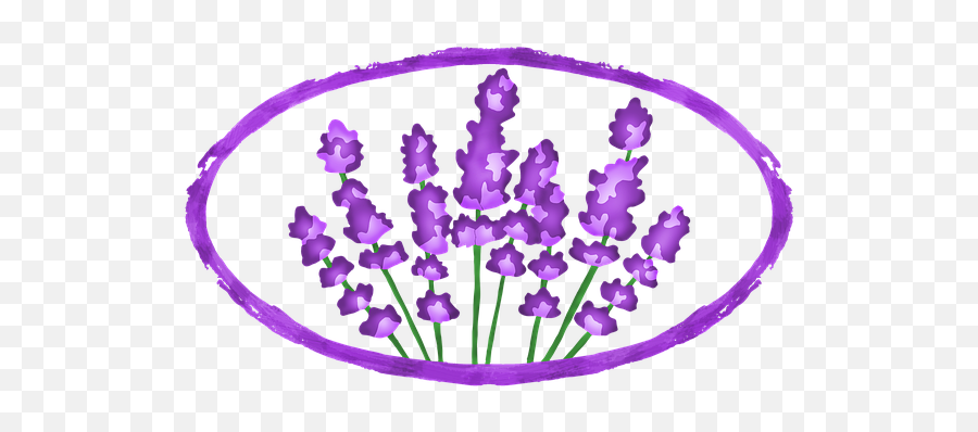 100 Free Fragrance U0026 Perfume Illustrations - Pixabay Language Png,Lavendar Bush Icon