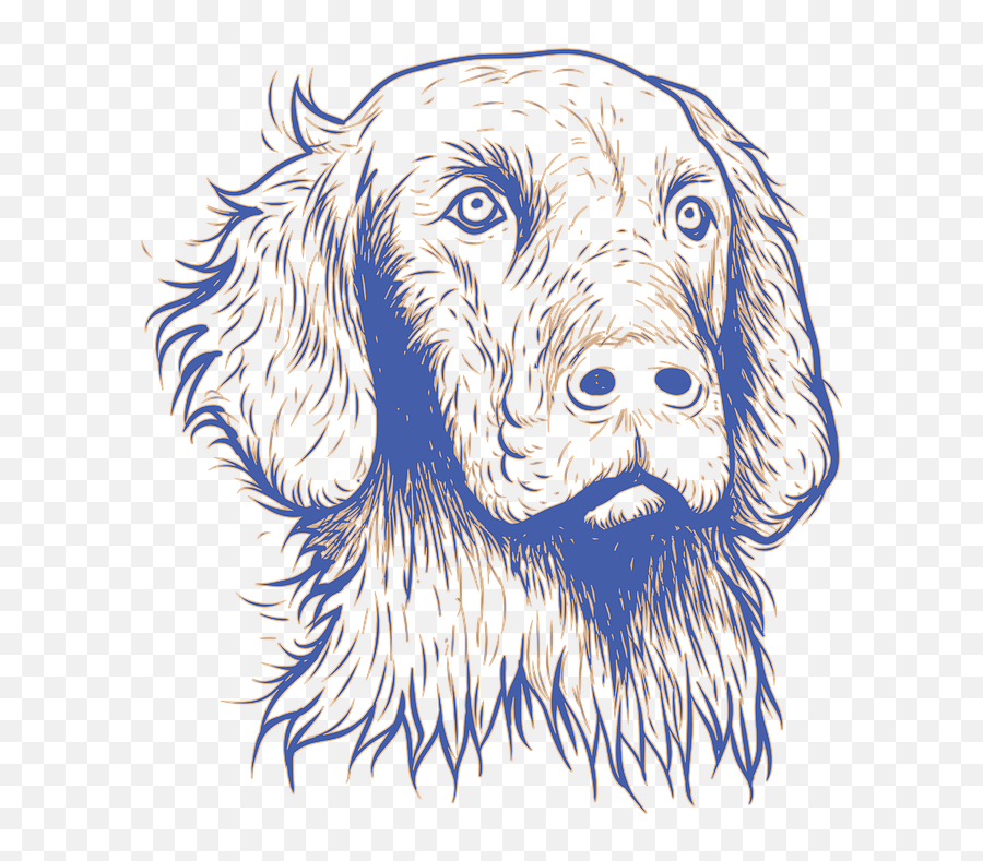 Dog Animal Desing - Free Image On Pixabay Dog Png,Funny Dog Png