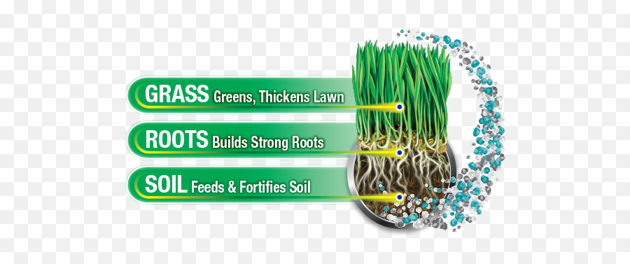 Triple Action Lawn Fertilizer - Vertical Png,Fertilizer Icon