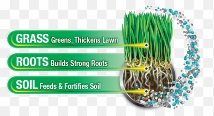 Triple Action Lawn Fertilizer - Vertical png