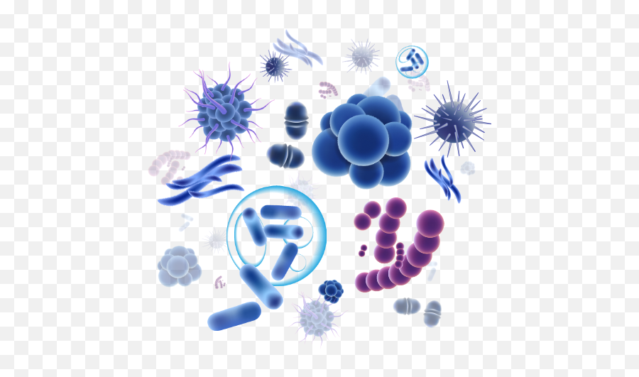 Ella Therapeutics - Dot Png,Microbiome Icon