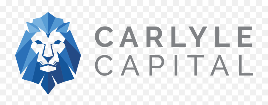 Carlyle Capital - Publix Supermarket Charities Png,Sfr Portfolio Icon