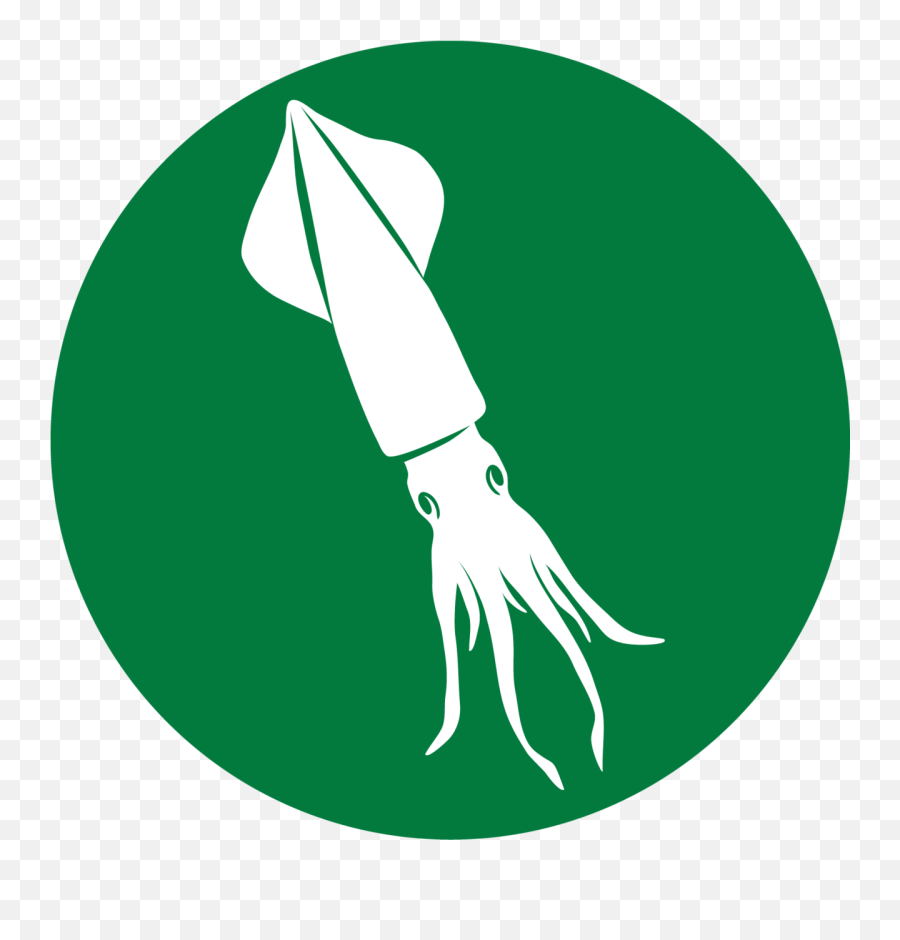 How Do We Use Observer Data Noaa Fisheries - Giant Squid Png,Endangered Species Icon