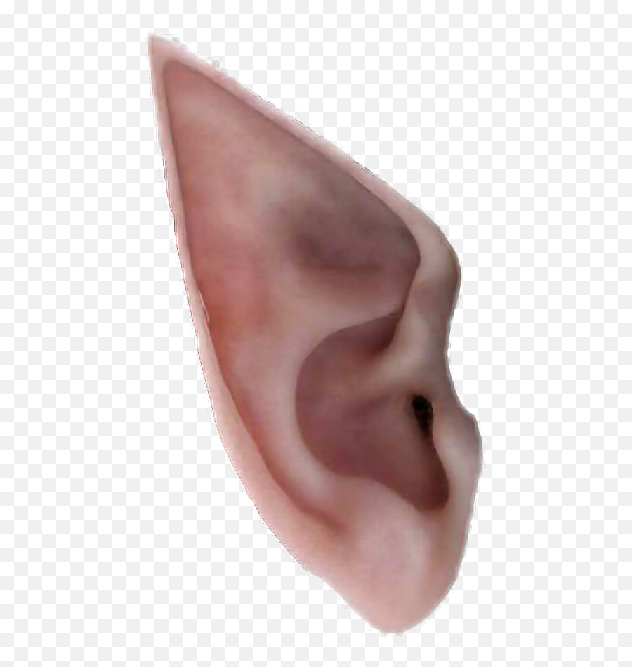 Shrek Ears Transparent Png Clipart - Transparent Elf Ear Png,Ear Png
