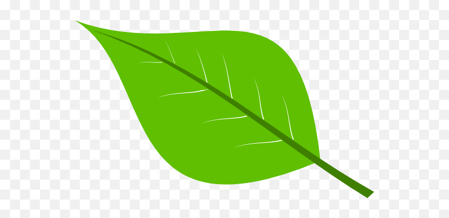 Library Stock Green Leaves Png Files - Green Leaf Clipart,Leaves Clipart Png