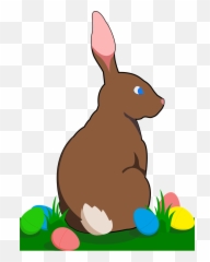 Bunny Rabbit Easter - Free Vector Graphic On Pixabay Domestic Rabbit Png,Rabbit Transparent
