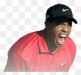 Golfer Tiger Woods Png Transparent - Tiger Woods Fist Pumps,Tiger Woods Png