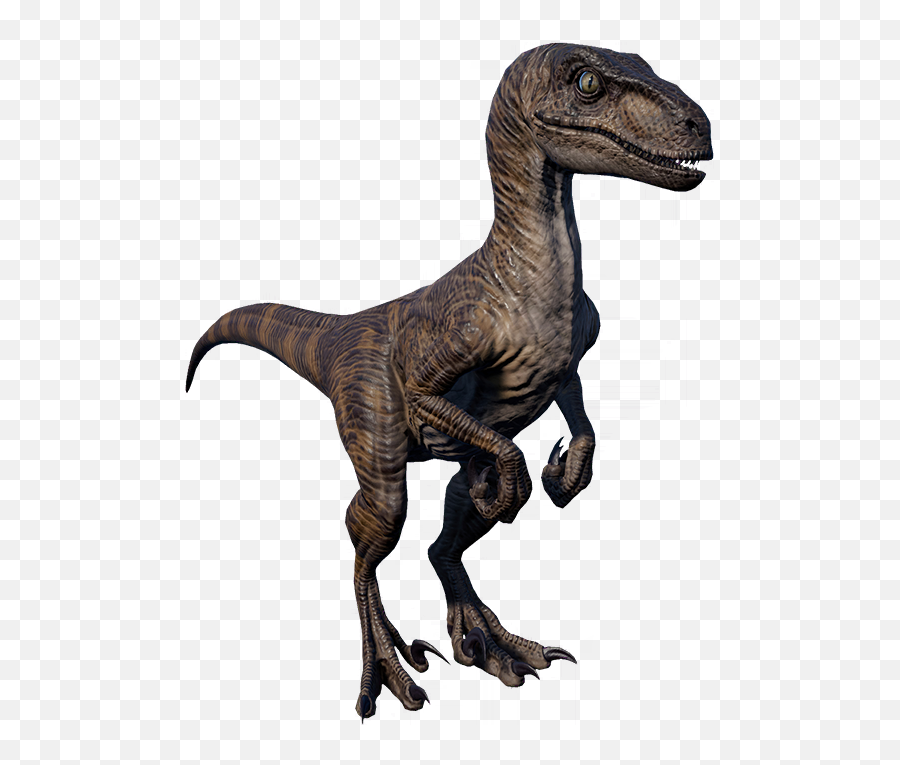 Velociraptor - Jurassic World Evolution Wiki Velociraptor Png