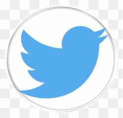 Download 021 830 - Grey Twitter Logo Png PNG Image with No De