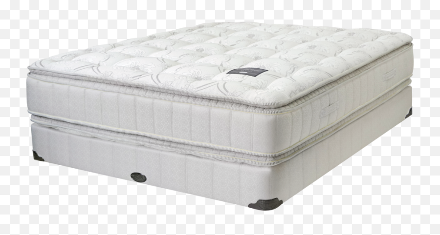 Shifman - Michelangelo Pillowtop U2014 Boston Luxury Beds Png,Michelangelo Png