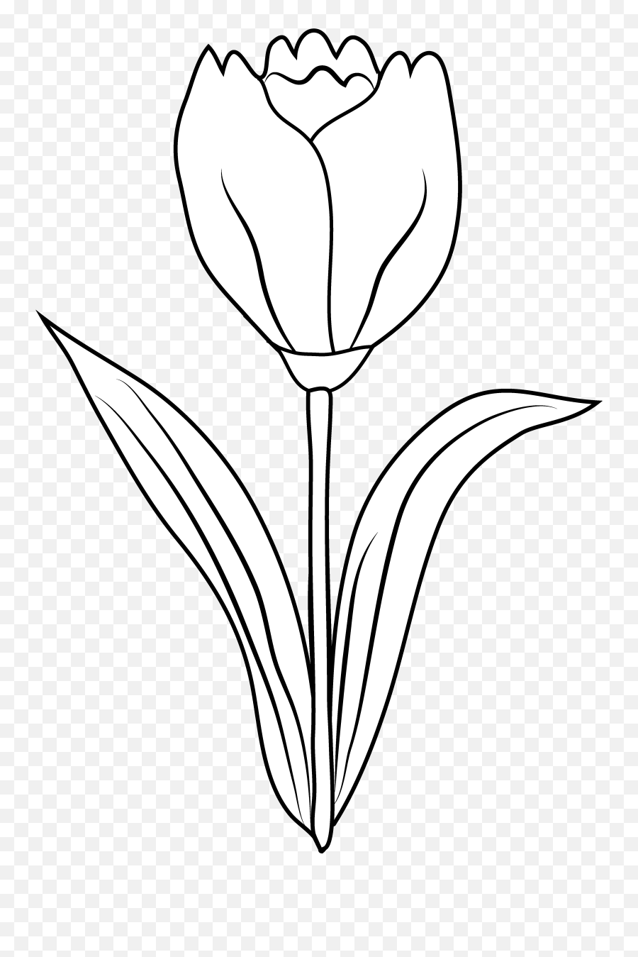 Tulips Png - Vector Free Library Tulip Clip Art Panda Free Clipart Tulip Flower Outline,Tulips Png