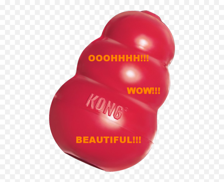Why Dogs Love Kongs And You Should Too U2014 Praiseworthy Pets - Balloon Png,Red Glowing Eyes Png