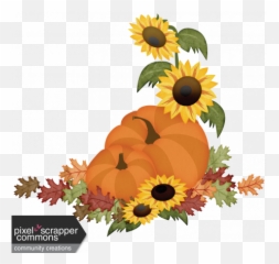 Pumpkins And Sunflowers Clipart Images G 1353959 - PNG