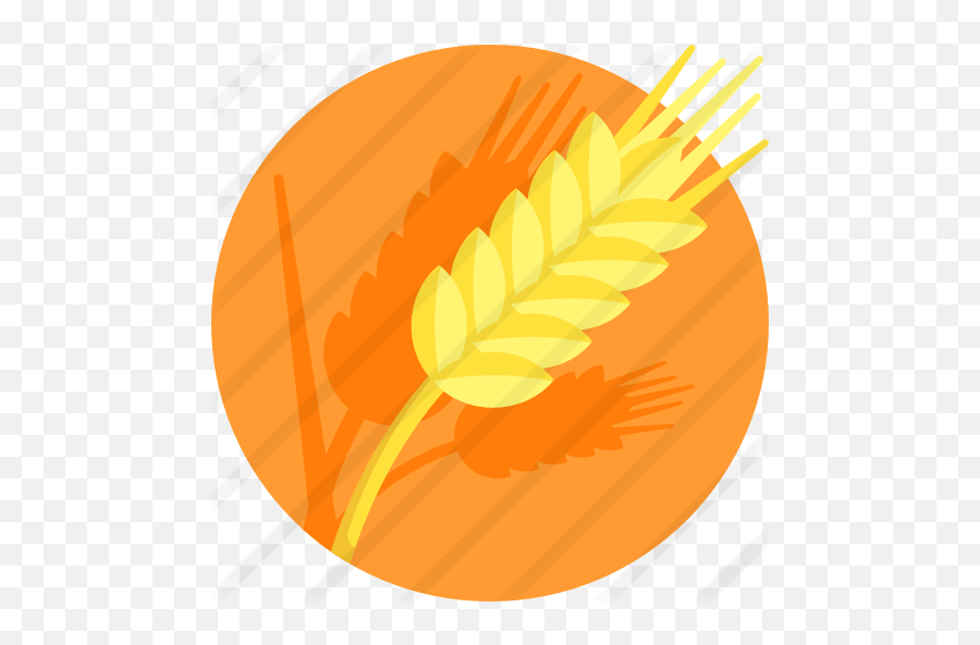 Wheat - Free Food Icons Icon Circle Transparent Wheat Png,Wheat Icon Png