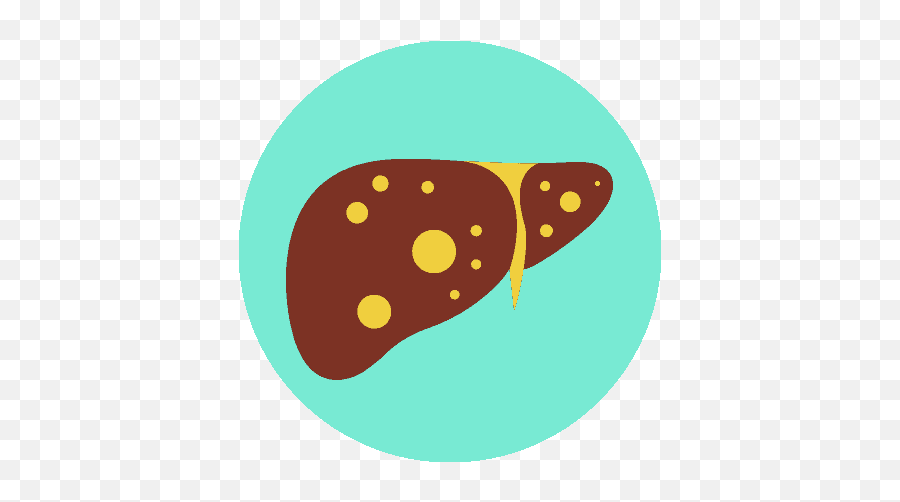 Know Your Liver - Dot Png,Liver Icon