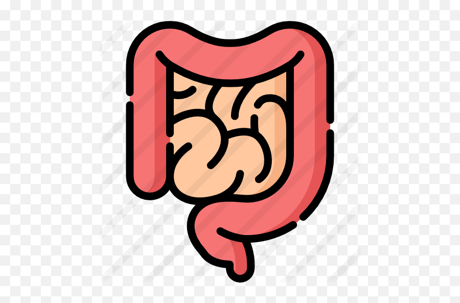 Intestine - Intestine Flat Icon Png,Intestine Icon