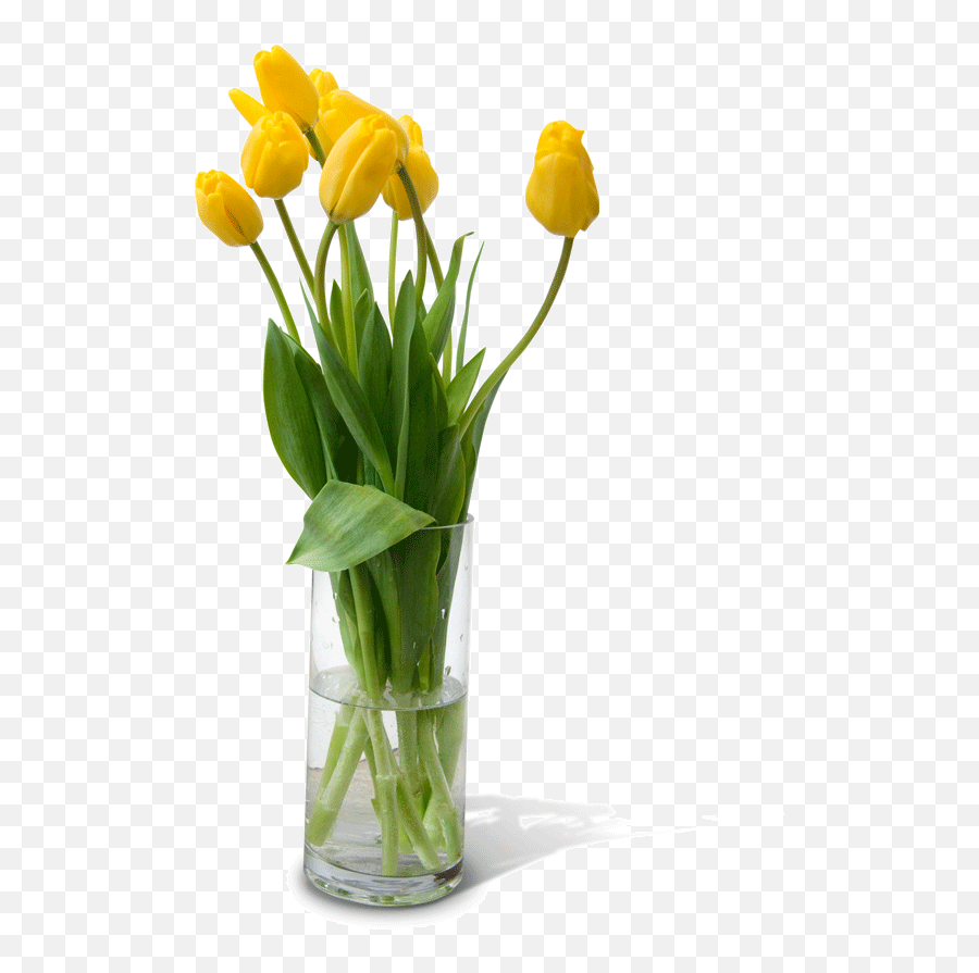 Flower Vase Png Free Download - Transparent Flower Vase Png,Vase Png
