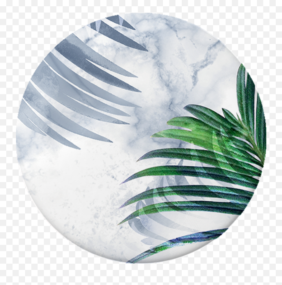 Ru0026f White Marble Tropics - Sphere Png,Marbles Png