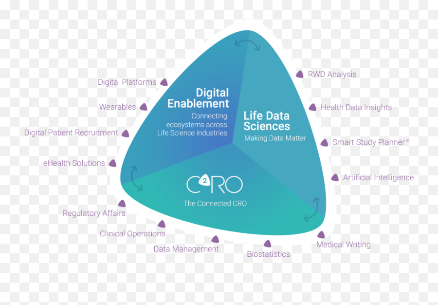 The Cro - Keyrus Life Science Pharma Cro Ecosystem Png,Life Science Icon